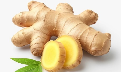 桑寄生的药用-中草药桑寄生的功效网—知名的桑寄生的药用网站,分享中草药桑寄生的功效是什么知识