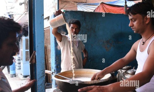 桑寄生药用价值-中草药桑寄生的功效网—知名的桑寄生的药用网站,分享中草药桑寄生的功效是什么知识
